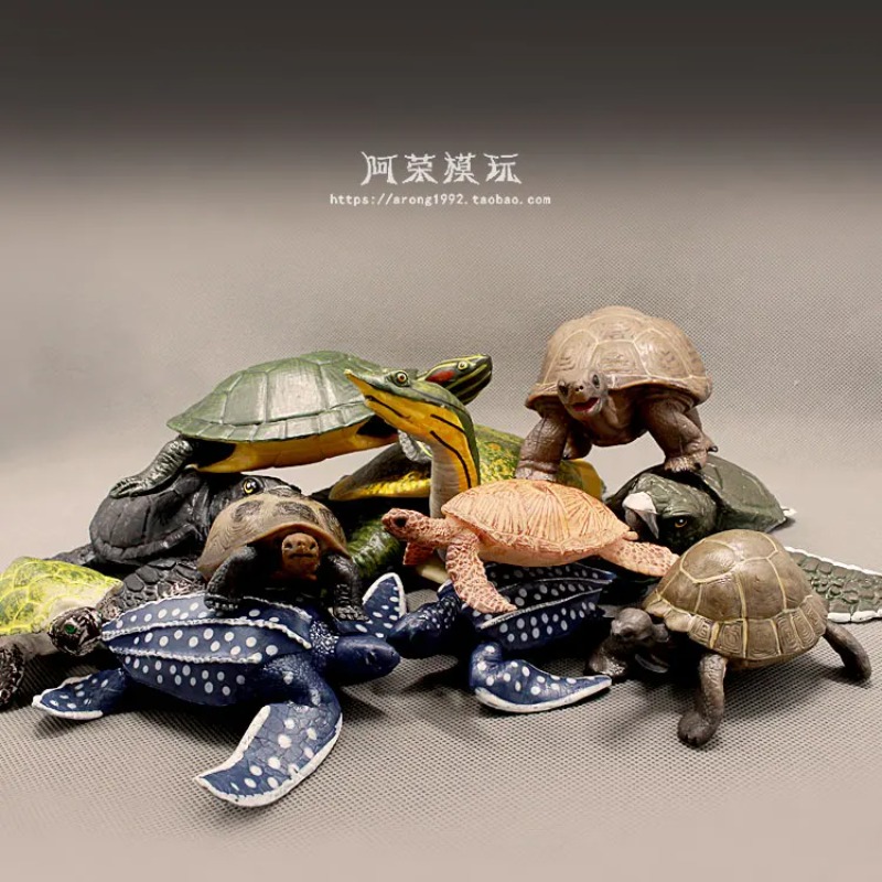 Ocean Aquarium - 가죽등 붉은귀거북 육지거북 해양 미니어처 해양
