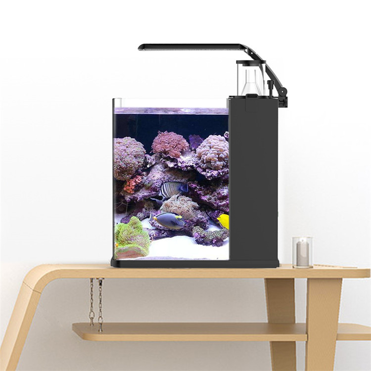 Marine Aquarium Cube - 스카이누오 울트라 클리어 글래스 미니 해수어항