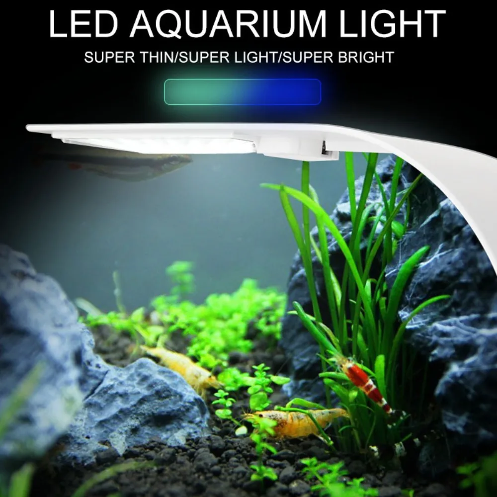 Reef Lighting - 5W 미니 LED 수족관 빛, 초박형
