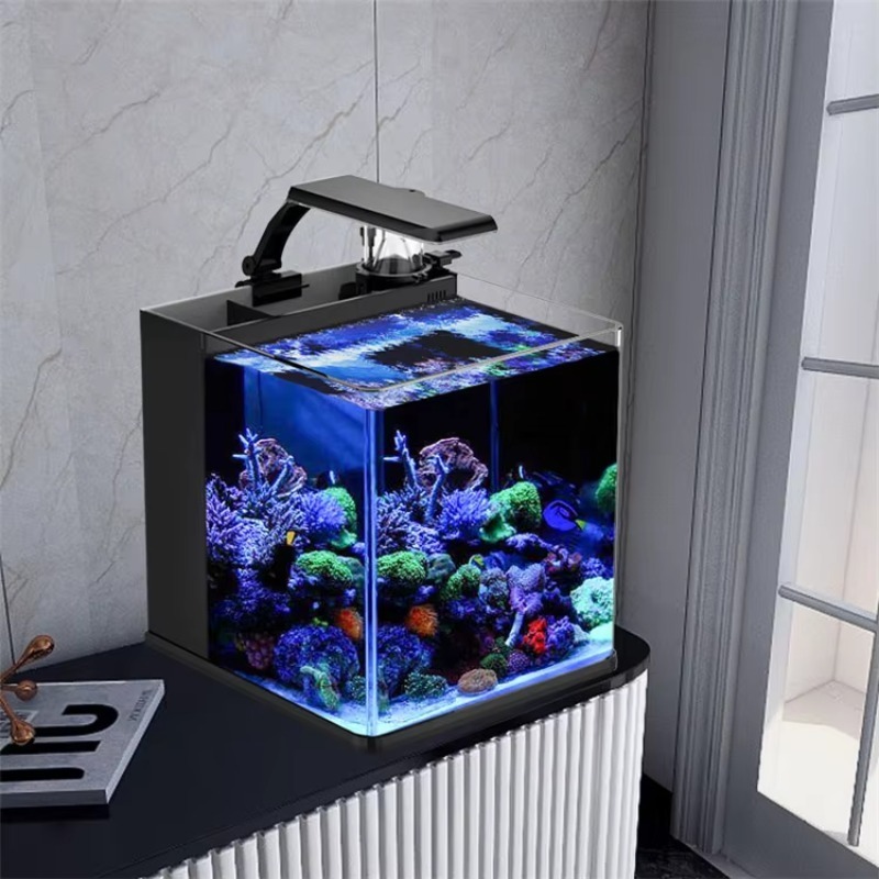 초고투명 유리 미니 해수 해양 수족관 어항 - Marine Aquarium Cube 리뷰 및 가격