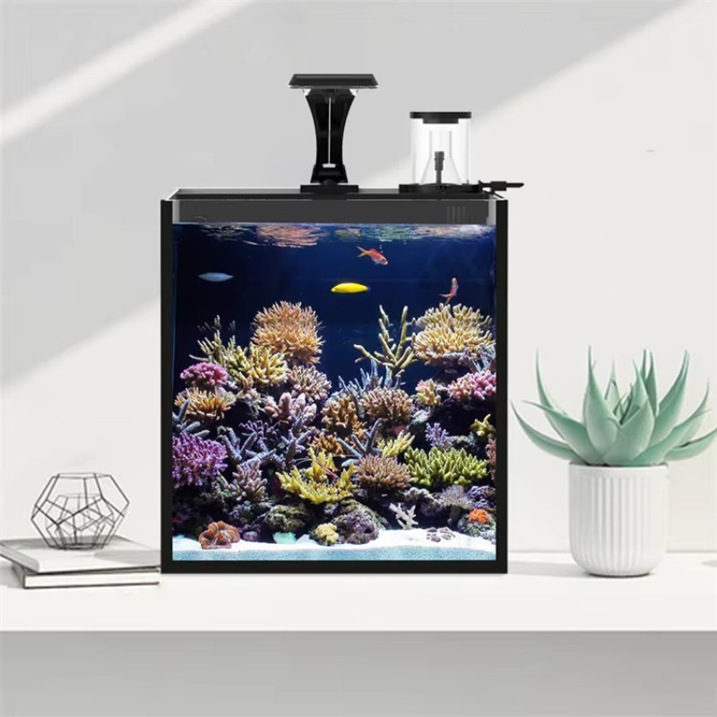 초고투명 유리 미니 해수 해양 수족관 어항 - Marine Aquarium Cube 리뷰 및 가격