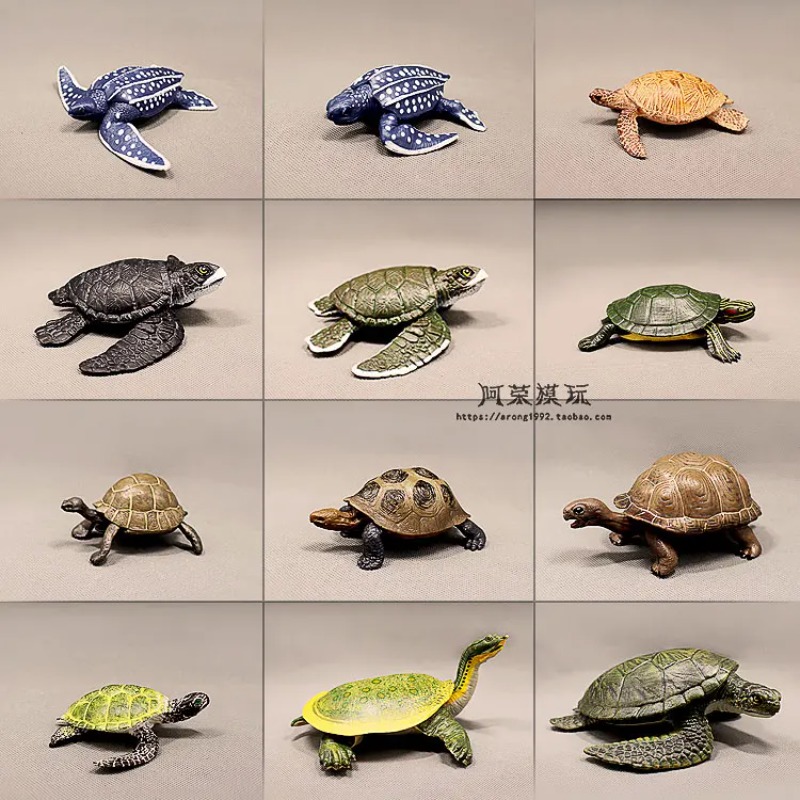가죽등 붉은귀거북 육지거북 해양 미니어처 해양 동물 모 - Ocean Aquarium 리뷰 및 가격