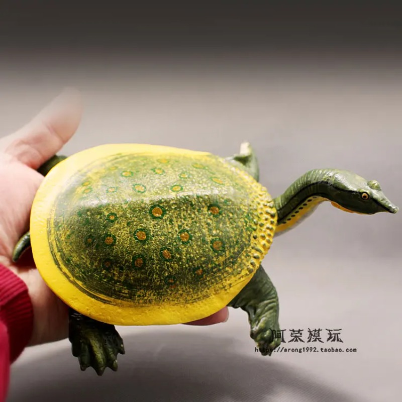 가죽등 붉은귀거북 육지거북 해양 미니어처 해양 동물 모 - Ocean Aquarium 리뷰 및 가격