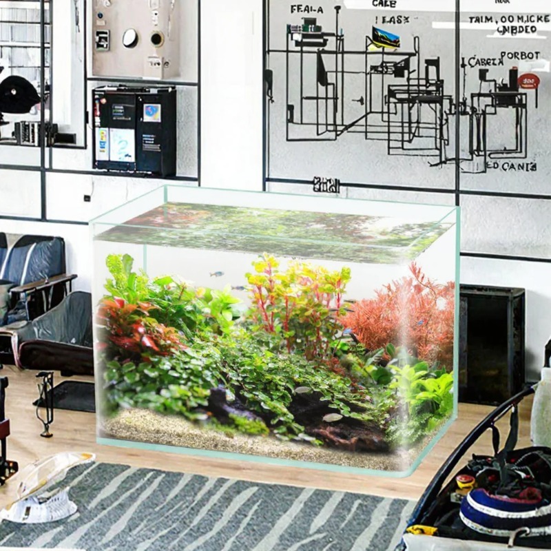박스 포장 데스크탑 수족관 울트라 화이트 클리어 벤트  - Saltwater Tank 리뷰 및 가격