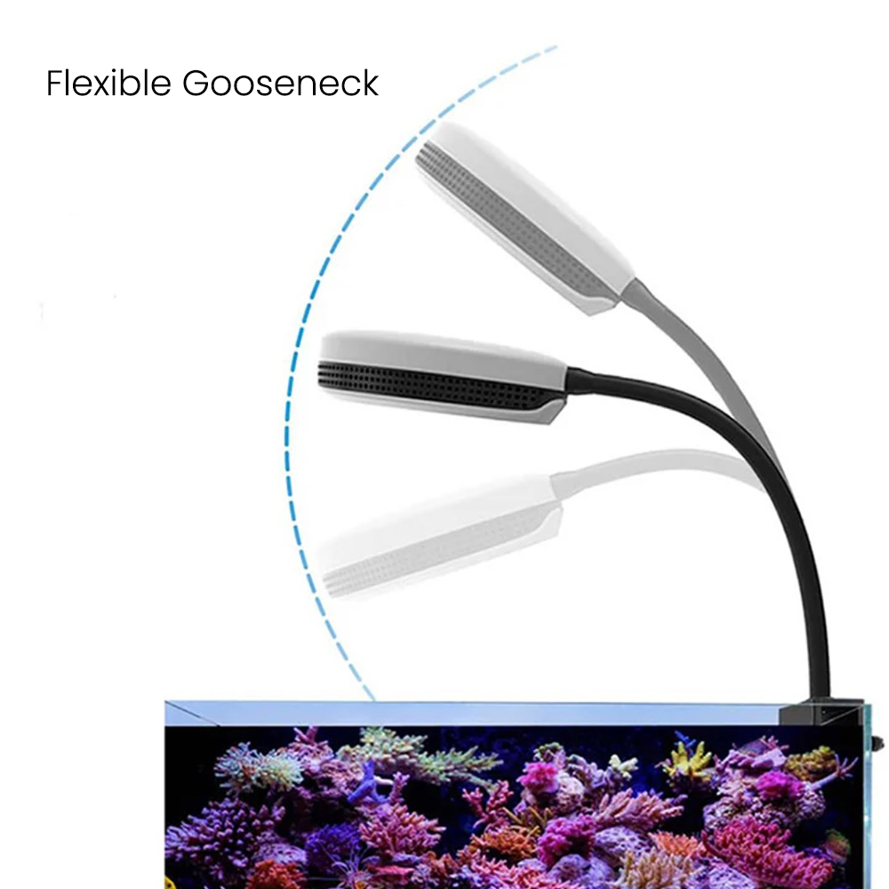 스펙트라 SP20 20W 수족관 LED 조명 풀 스펙트 - Reef Lighting 리뷰 및 가격
