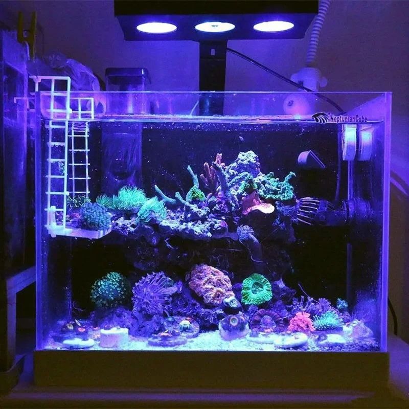 스펙트라 나노 029 LED 수족관 조명 타이밍 ON- - Reef Lighting 리뷰 및 가격