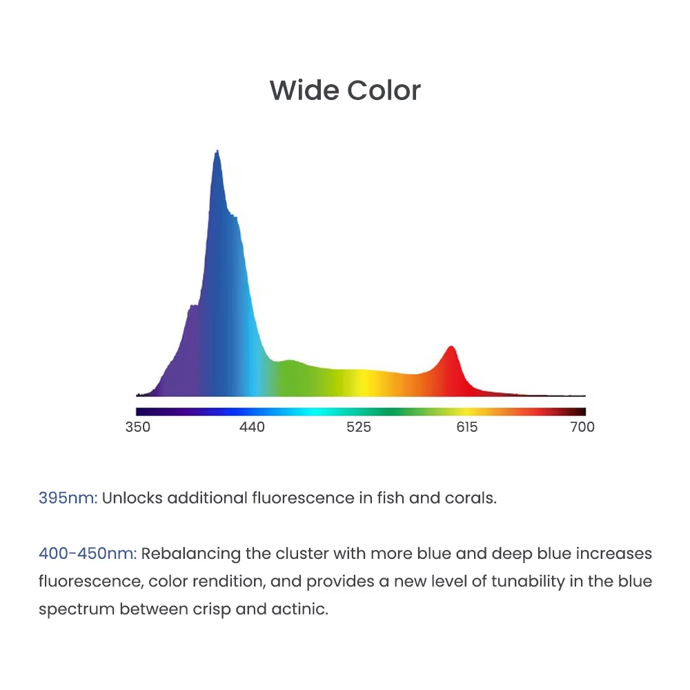 A8SE/A8PRO 2.0 세대 240W 스마트 산호초 - Reef Lighting 리뷰 및 가격