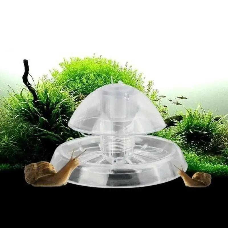 2026년형 새로운 6/8CM 투명 플라스틱 달팽이 트 - Ocean Aquarium 리뷰 및 가격