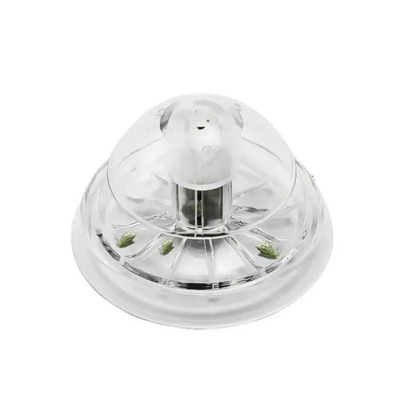 2026년형 새로운 6/8CM 투명 플라스틱 달팽이 트 - Ocean Aquarium 리뷰 및 가격