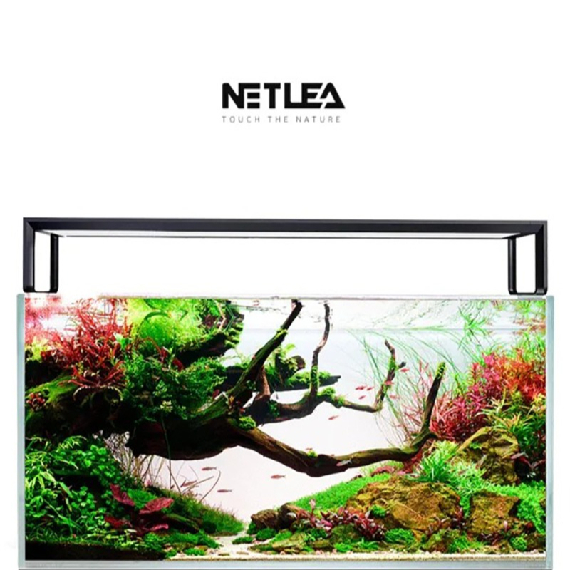 넷리아 AT5S V4 스마트 와이파이 앱 제어 풀스펙트 - Aquarium Marine Lights 리뷰 및 가격