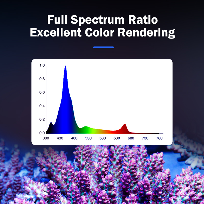 핫 KASSRAY T169/T215 CREE LED 풀 - Reef Aquarium 리뷰 및 가격