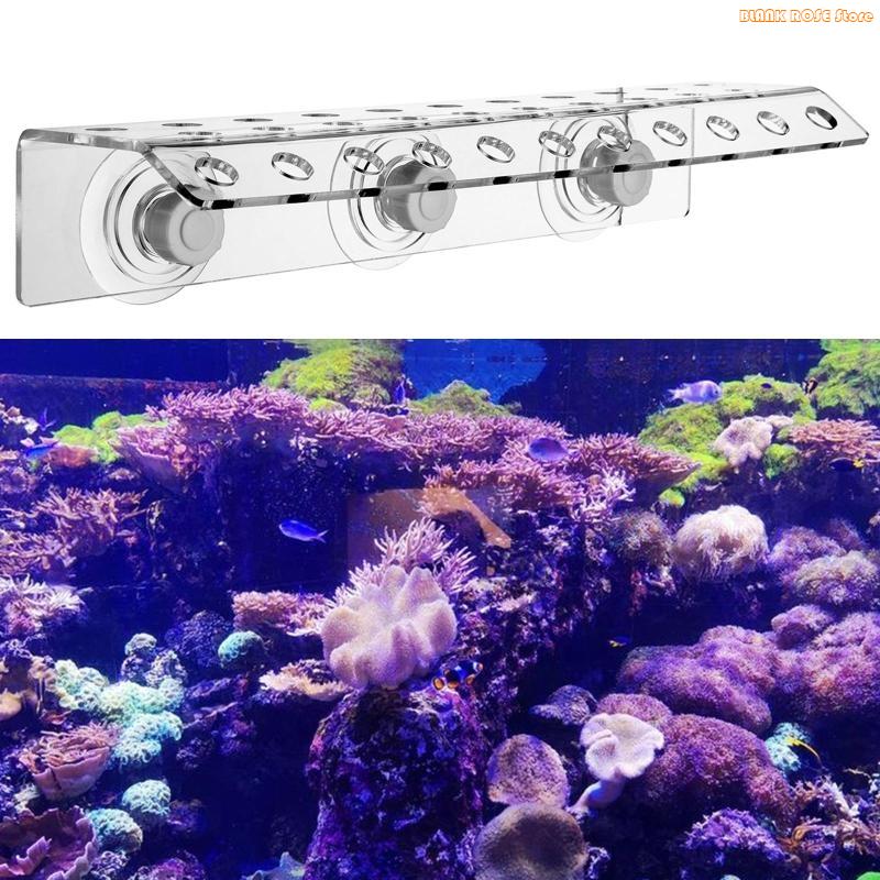 수족관 강력한 흡입 컵용 K1AE 아크릴 산호 조각 랙 - Reef Aquarium 리뷰 및 가격