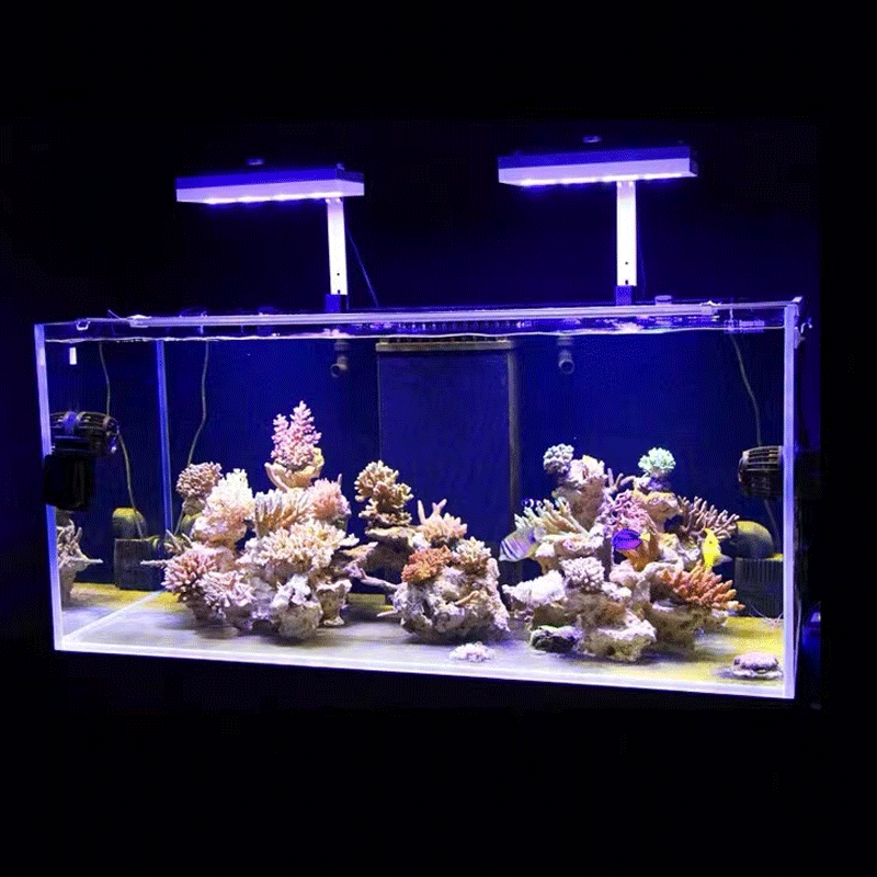 아쿠아 일루미네이션 AI 하이드라 32HD/64HD 리 - Reef Lighting 리뷰 및 가격