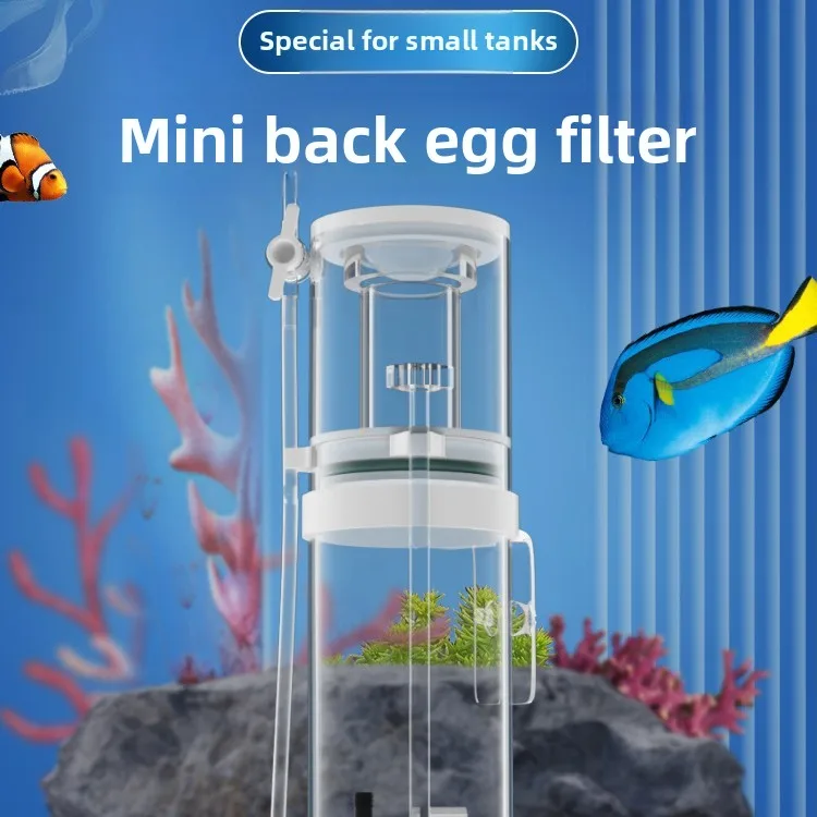 110V-240V 신형 미니 수족관 단백질 분리기 해수 - Reef Tank Filter 리뷰 및 가격