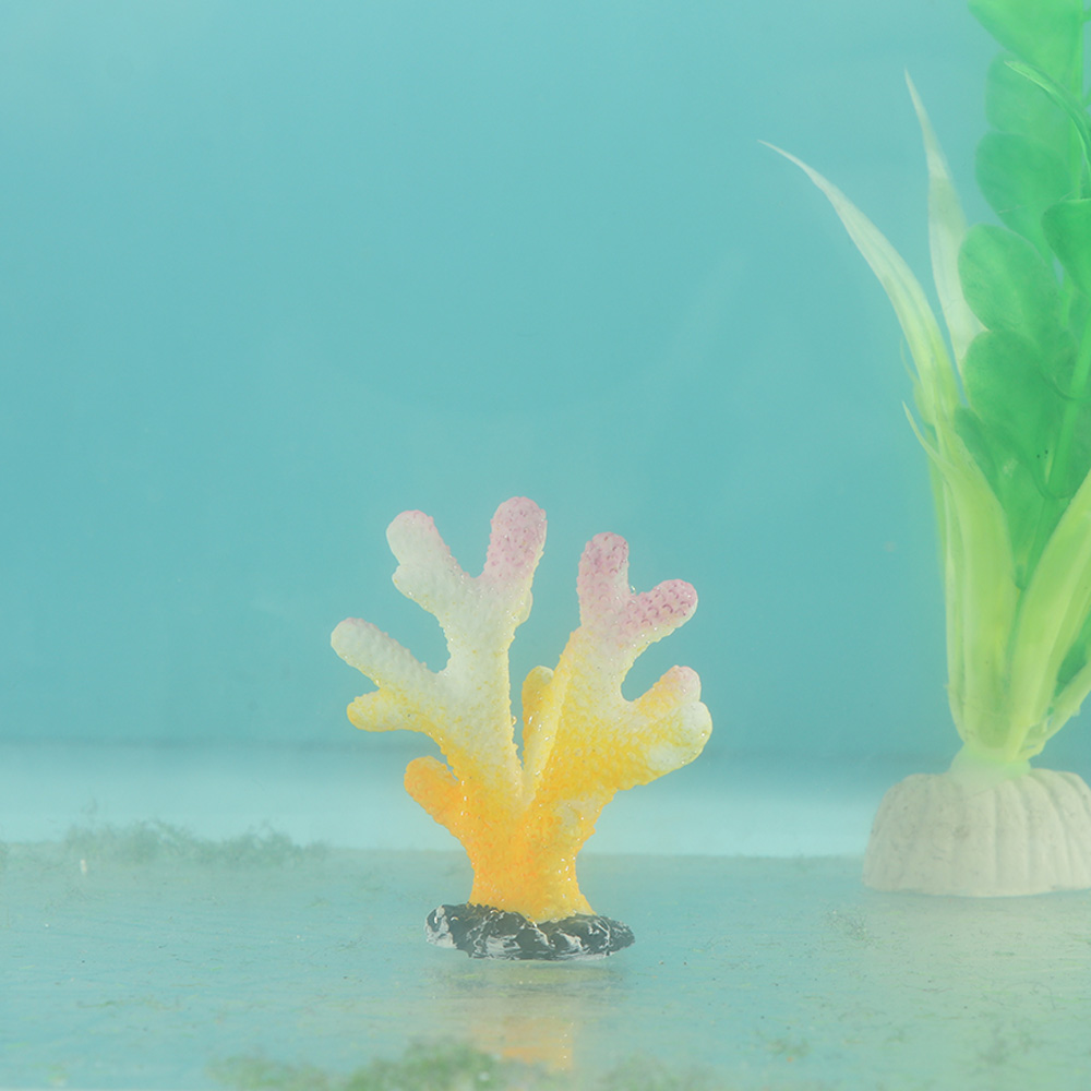 인공 산호 어항 장식, 시뮬레이션 불가사리 수지 암초  - Reef Aquarium 리뷰 및 가격