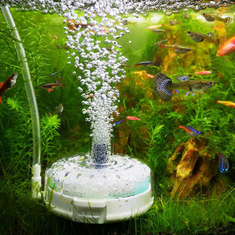 [B] 어항용 필터, 소형 수조 펌프, 고급 여과 시스 - Saltwater Tank 리뷰 및 가격
