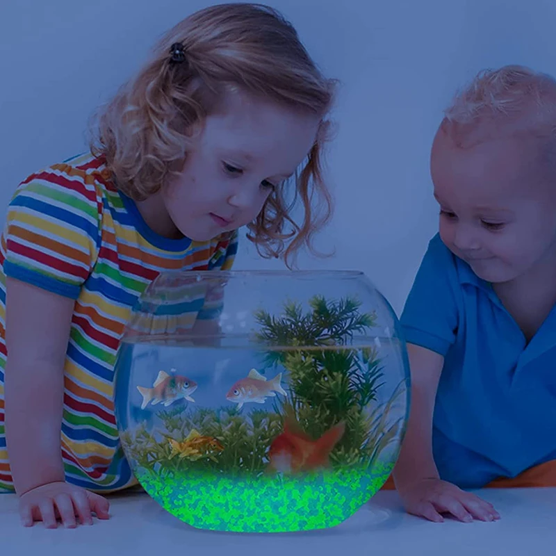 1000pcs 어두운 자갈 돌에 3-5mm 빛나는 모래 - Ocean Aquarium 리뷰 및 가격