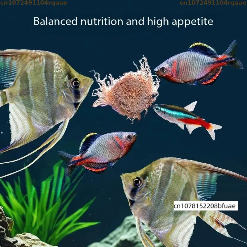 수족관 물고기 먹이 매칭 리필, 동결건조 투비펙스 큐브 - Marine Aquarium Cube 리뷰 및 가격