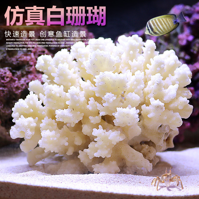 소형 수조 산호나무 조경 세트 인공 석가산 수생 식물  - Marine Aquarium Epoxy 리뷰 및 가격