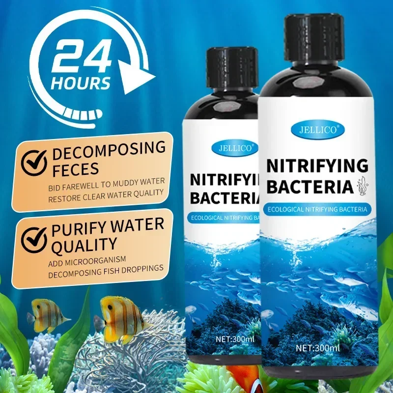 질화 박테리아 액체 물고기 탱크 정수기 수족관 물고기  - Ocean Aquarium 리뷰 및 가격