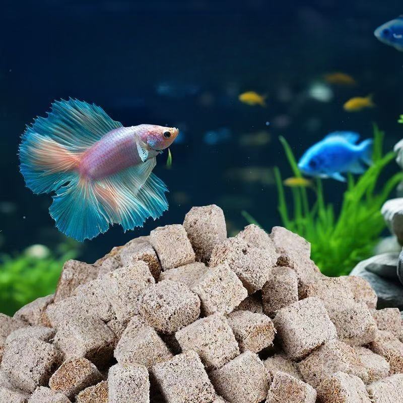 자연 건조 혈웅(블러드웜) 큐브 투비펙스 벌레 고단백  - Marine Aquarium Cube 리뷰 및 가격