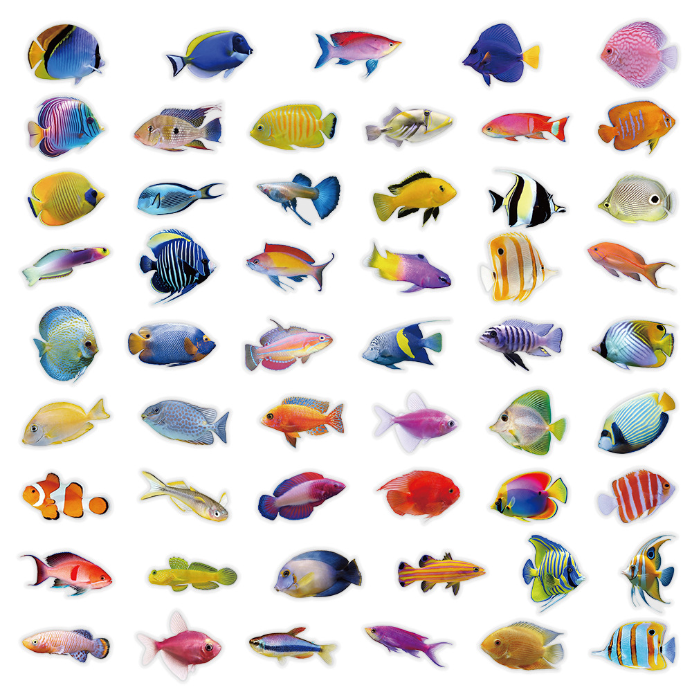 50-100PCS 투명 PET 산호 물고기 스티커 만화 - Marine Coral 리뷰 및 가격