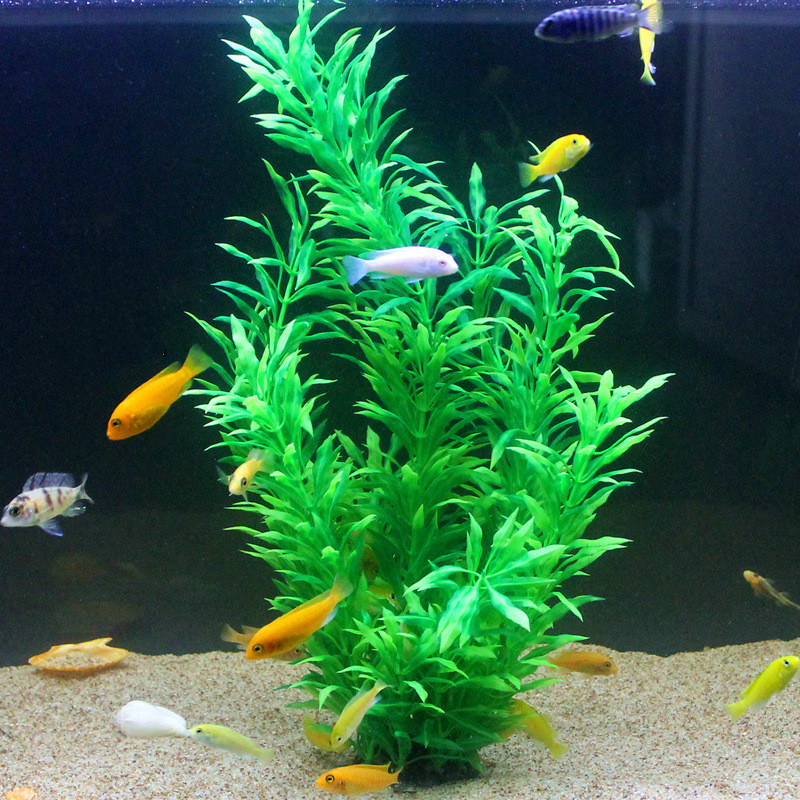 50CM 인조 어항 희귀 식물 수족관 가짜 대나무 잎  - Ocean Aquarium 리뷰 및 가격