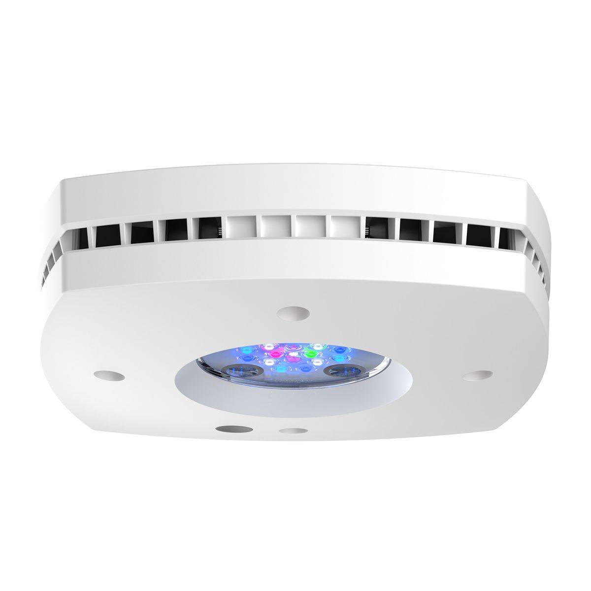Prime 16 HD LED 리프 라이트, 오리지널 브 - Reef Lighting 리뷰 및 가격
