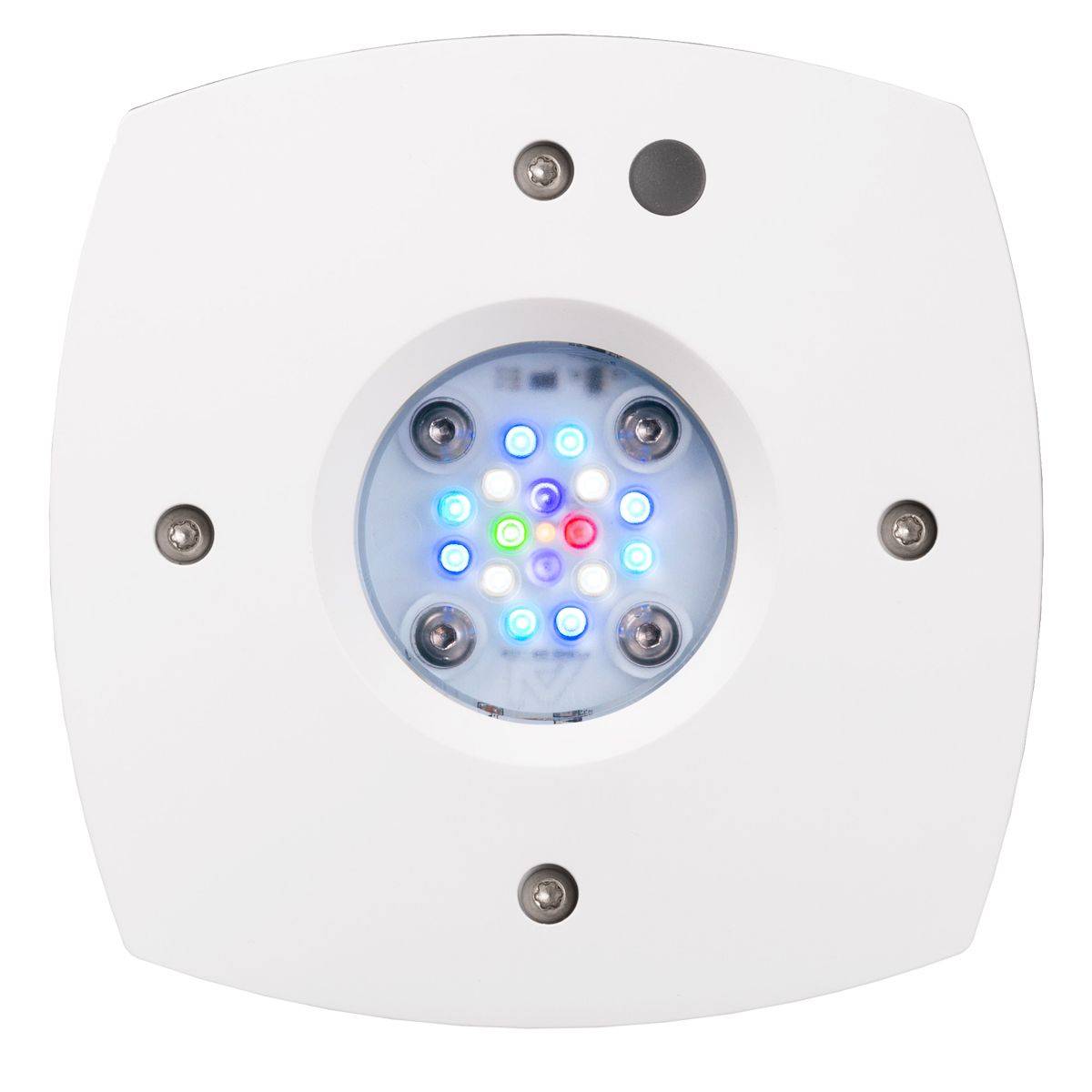 Prime 16 HD LED 리프 라이트, 오리지널 브 - Reef Lighting 리뷰 및 가격