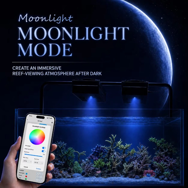 AIPAI A8 III 시리즈 A8SE/A8 Pro 풀 - Reef Lighting 리뷰 및 가격