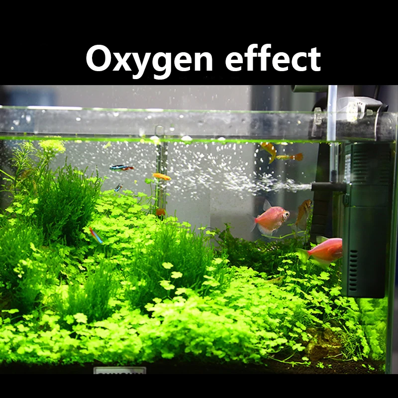 SUNSUN 미니 나노 수중 산소 펌프, 물고기 거북이 - Reef Tank Filter 리뷰 및 가격